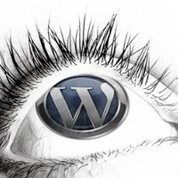 Hire WordPress Developer