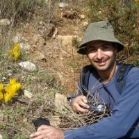 Yaron Dekel