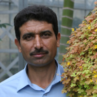 Salam Adhoob