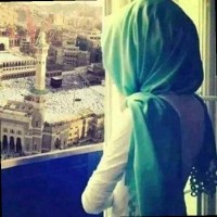 Shumail Anis