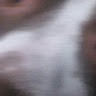 Milktown Dripdrop