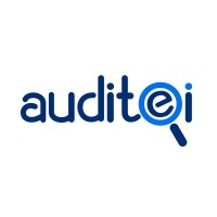 Auditei Contabilidade