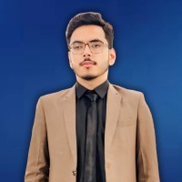 Muhammad Ameer Hamza
