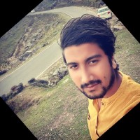 Paras Dimri