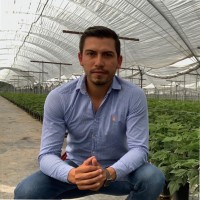 Roberto Soto