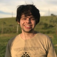 Vitor Henrique Bormio Nunes