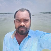 Naveen Pallikonda