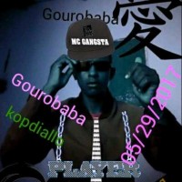 gouro diallo