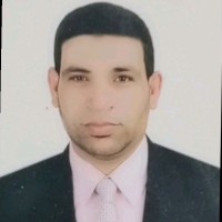 Medhat Sobhi