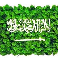Saleh qadi