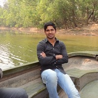 Md Shamim Al Mamun