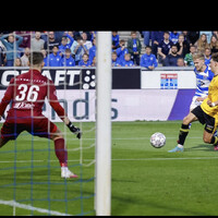 Loek Hamers