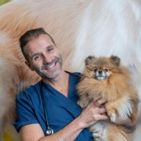 Dr. Tomas Infernuso