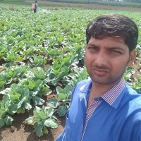 Rajkumar S.