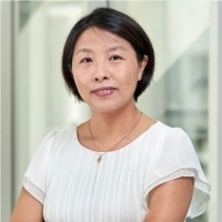 Dan Ohtan Wang