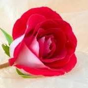 Nithya Chandrasekaran