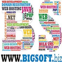 Bigsoft Biz