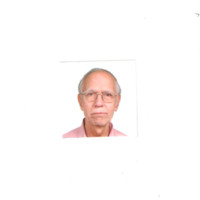 Erraguntla V R Rao Raghunadha Rao