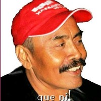 Herman Walad