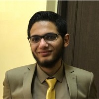 Ayman A. Hamada