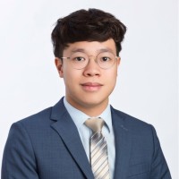 Vincent Cheng, Cpa, Cfe