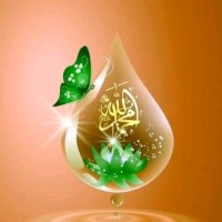 Hina Imran