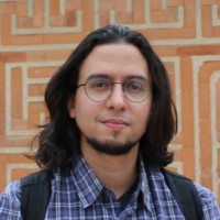 Rafael Lins