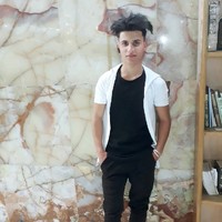 الباشا نور الزين