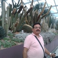 Dad Gns