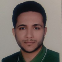 Mohamad Barzegar