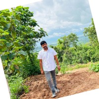 Shivam Tarsauliya