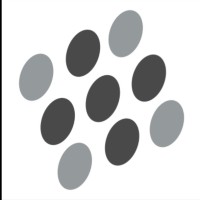 Startup Studios