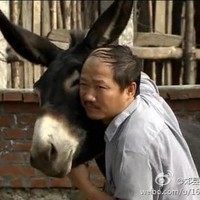 董刚刚