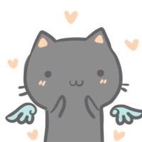 舒晓波