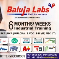 Baluja Institute