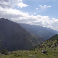 Farzad Salehi