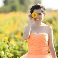 fan sunny