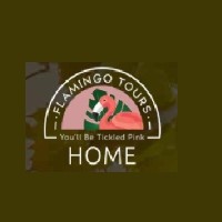Flamingo Tours
