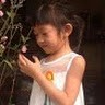 Vân Anh Film Hd