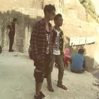 roy zaimy