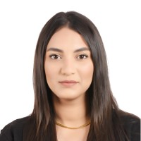 Dina Hamdi