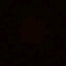 Shashank C