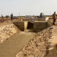 Awa SARR