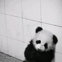 钟优军