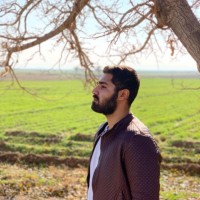 Ali Ghashghaee