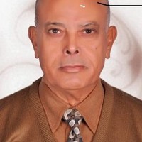 Elsayed Mabrouk