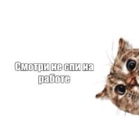 Еркебулан Даниярұлы