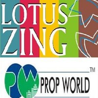 Lotus Zing