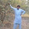 Qaisarabbas Sial