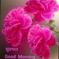 Anurag Verma